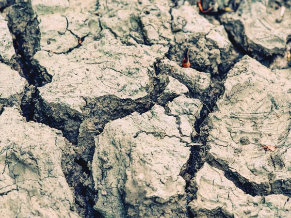 塩辛い暗褐色の土壌土地地。環境テクスチャ — ストック写真