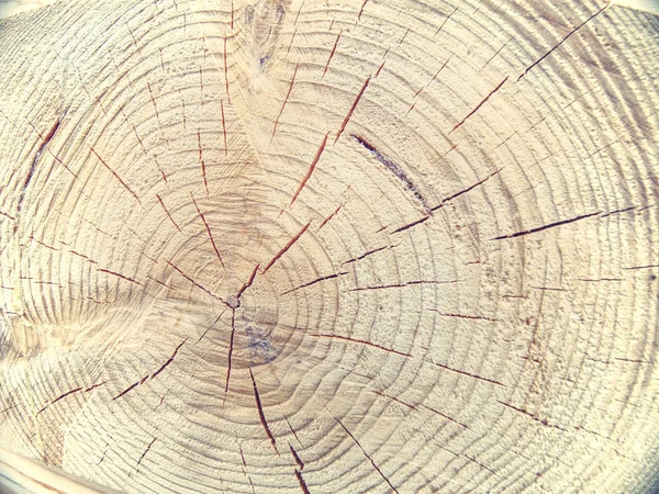 Grumes carrés sur maison en bois. Poutres en bois dans la rainure — Photo