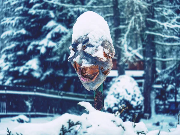 Máscara de woodoo assustadora ou cabeça de pessoa na cerca. Uma cabeça desumana — Fotografia de Stock