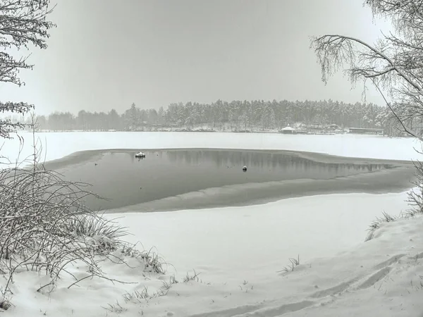 Paisagem fantástica lagoa descongelada com árvores ao redor — Fotografia de Stock