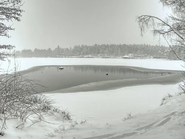 Fantastická krajina rozmražený rybník se stromy kolem — Stock fotografie