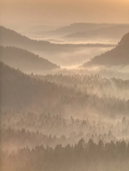オレンジの山の森の風景。霧深い山の森. — ストック写真