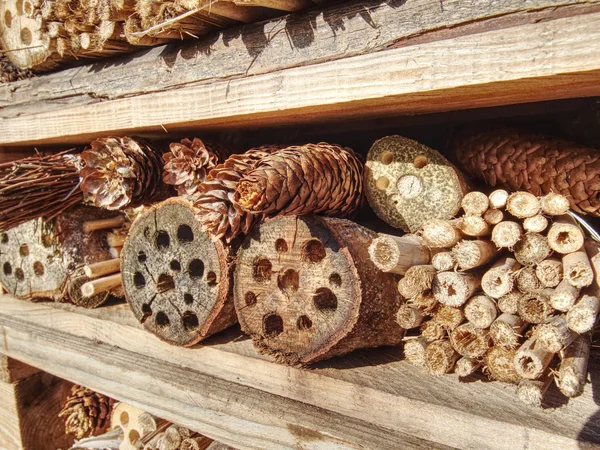 Partie d'un hôtel artisanal ou d'une maison pour abeilles sauvages et autres insectes — Photo