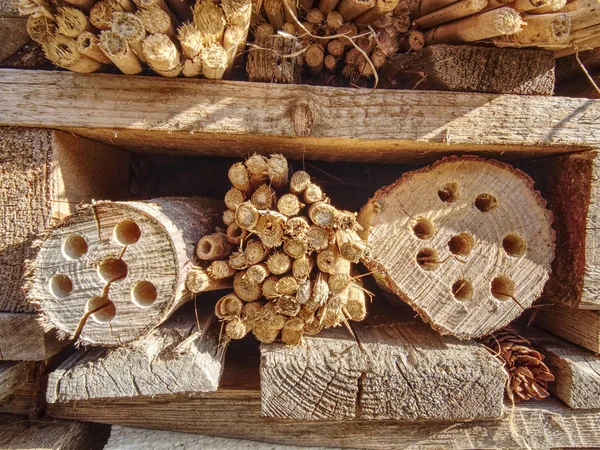 Parte del hotel o casa artesanal para abejas silvestres y otros insectos — Foto de Stock