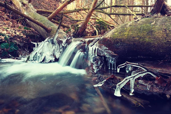 Cascade congelée de brindilles et de blocs glacés en mousse congelée — Photo