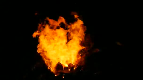 史密斯炉 锻造炉中热金属手工制铁玫瑰 — 图库视频影像