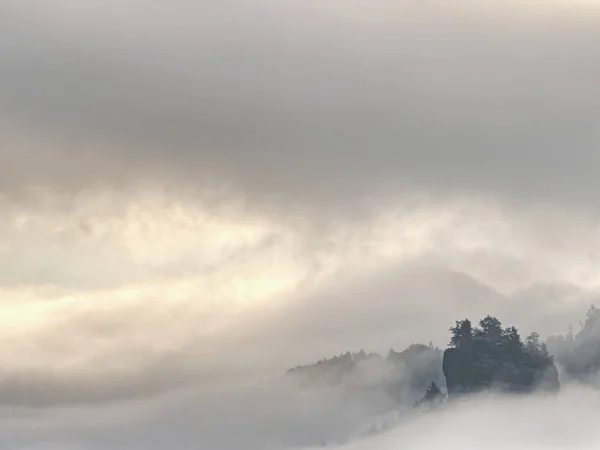 暗い山の森の風景。霧の幻想的な森 — ストック写真