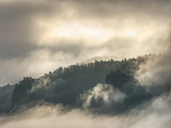 Donker bergbos landschap. Misty fantastisch bos — Stockfoto