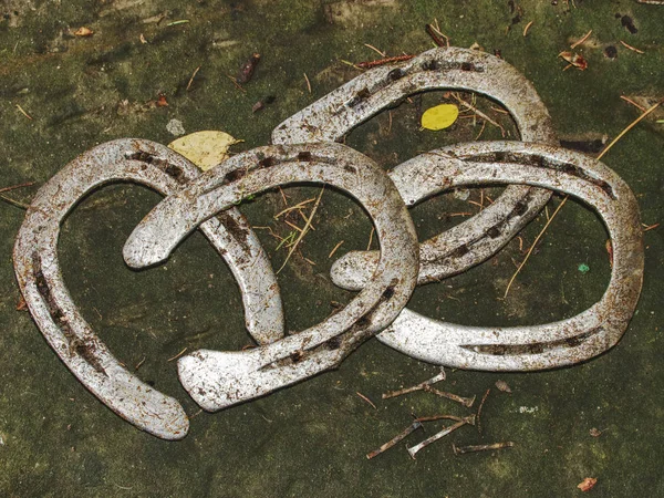 Worn out manual hammered horseshoe after change in grass — Stock Photo, Image