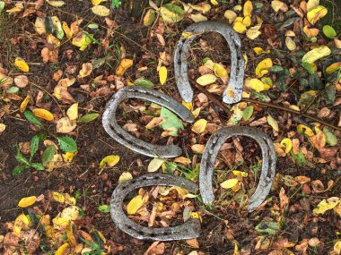 Çimenlerdeki değişiklikten sonra at nalı gibi yıpranmış.