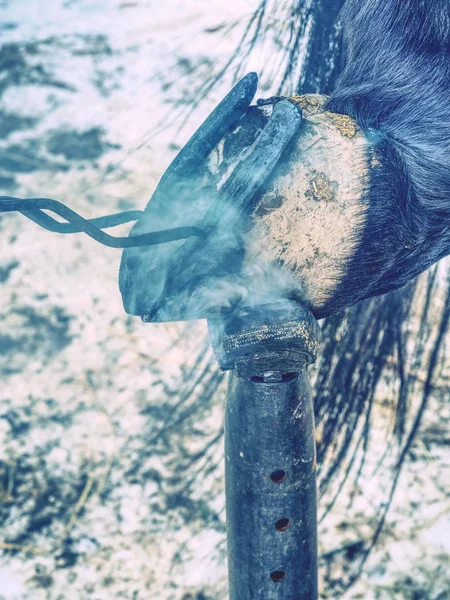 Fumar casco flamejante sob ferradura quente . — Fotografia de Stock