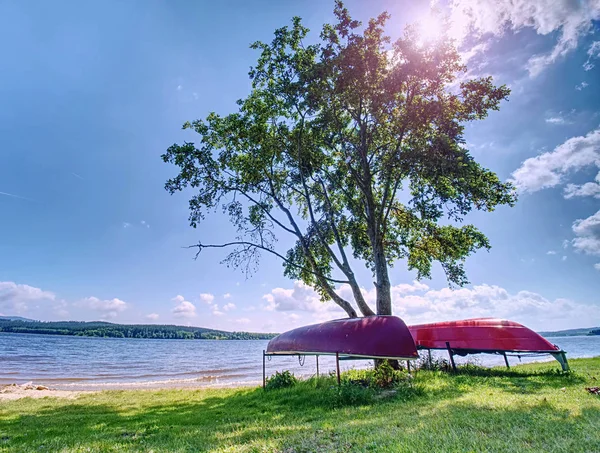 Stara łódź wioślarskie ułożone do góry nogami pod drzewem na jeziorze — Zdjęcie stockowe