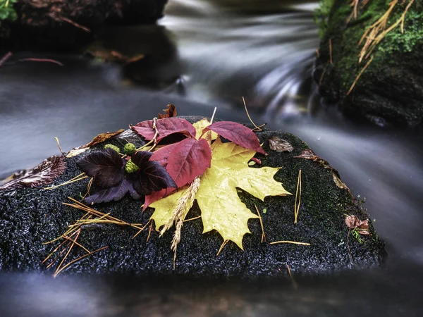 Ręcznie robione jesienny bukiet jeszcze w zimnej wodzie strumienia — Zdjęcie stockowe