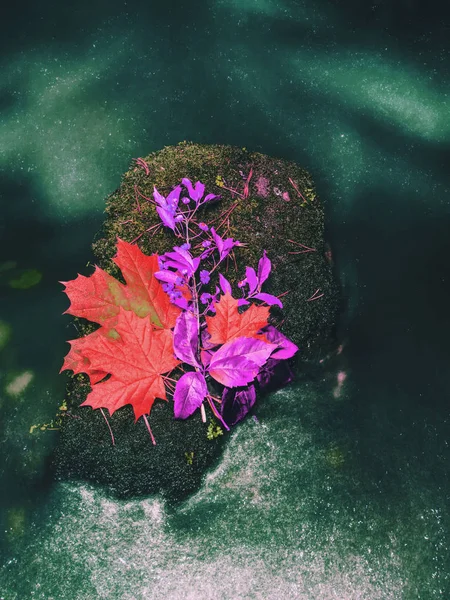 Herfst in het bos bergstroom. Prachtig herfstbos — Stockfoto