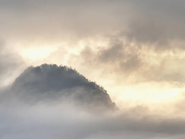 Paisaje nublado de otoño. Árboles altos y picos de colinas en la niebla —  Fotos de Stock