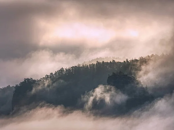 山の中で霧の景色。谷の上の幻想的な夢の日の出 — ストック写真