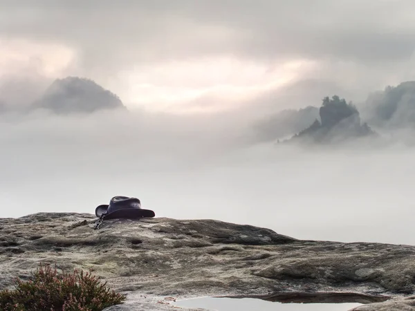 Vista sobre el brezo floreciente arbusto en la niebla pesada. Valle rocoso — Foto de Stock