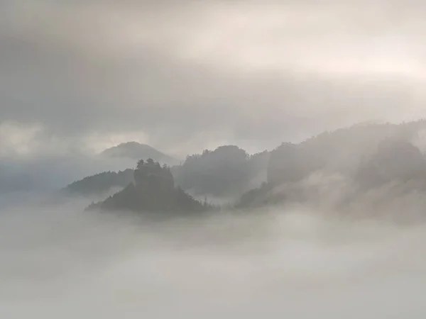 Barranco rocoso lleno de niebla oscura pesada sobre el bosque profundo. Sol frío —  Fotos de Stock