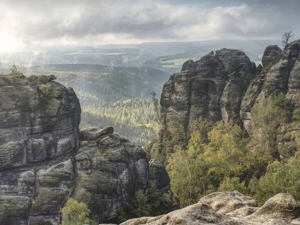 Misty valley with dry trees along sharp sandstone massives — Stock Photo, Image