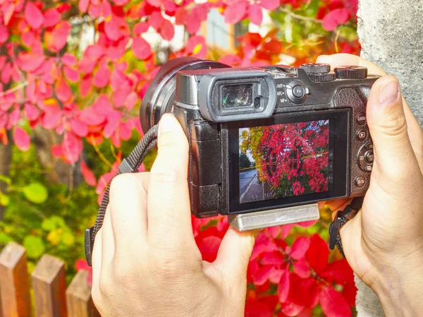 Moderna cámara sin espejo con lente profesional tomando fotos — Foto de Stock