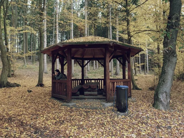 Tonnelle ou pavillon en bois dans la forêt de feuilles en automne — Photo