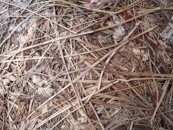 牧草地の草の乾燥した茎を押します 家畜用の乾燥飼料 ヘイロフト — ストック写真