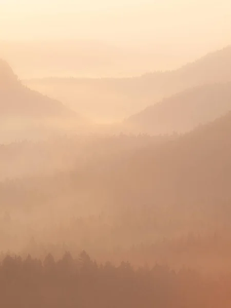 Landschaft Von Natürlicher Wilder Natur Warmen Morgensonnenlicht Perfekte Natur Morgengrauen — Stockfoto