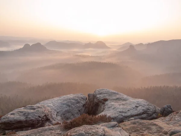 Natuurlandschap Van Mist Mist Met Bergen Bomen — Stockfoto