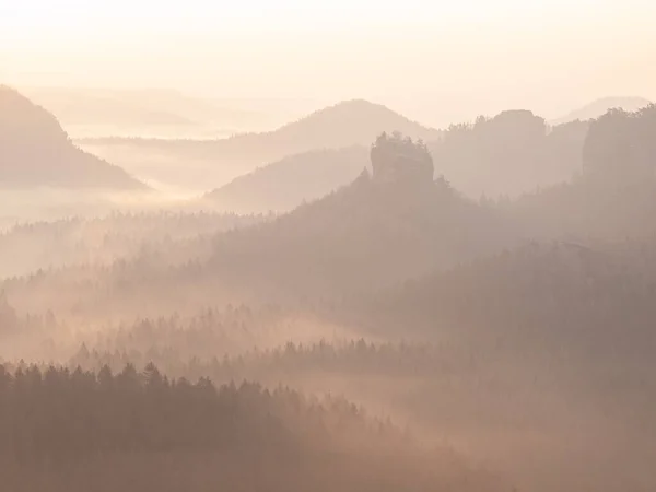 Landskap Naturlig Vild Natur Varmt Morgonljus Perfekt Natur Gryningen Solljus — Stockfoto