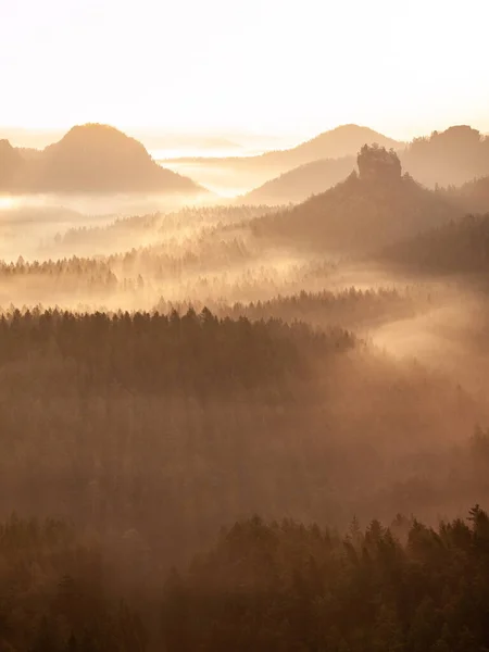 Zachte Roze Herfst Seizoen Mist Dekking Dromerig Landschap — Stockfoto