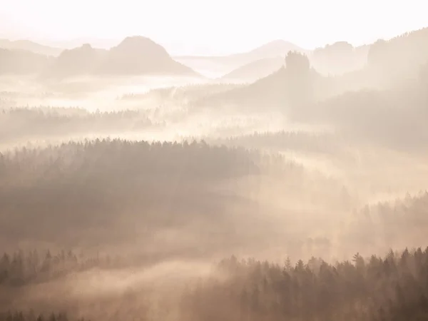 Roze Zonsondergang Boven Bergen Lente Prachtige Schemerlucht Met Berg Bos — Stockfoto