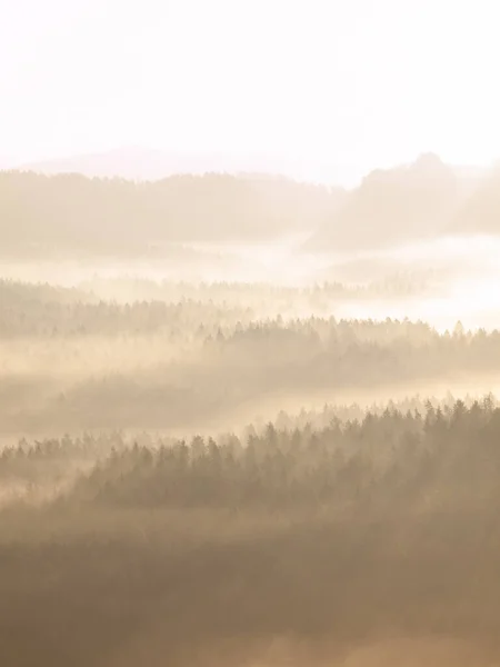 Luchtfoto Mistig Landschap Ochtend Licht Boven Bewolking Met Prachtige Kleuren — Stockfoto