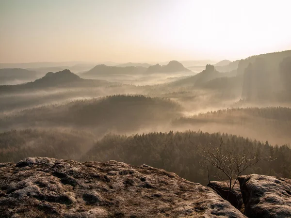 Paisaje Natural Niebla Niebla Con Montañas Árboles — Foto de Stock