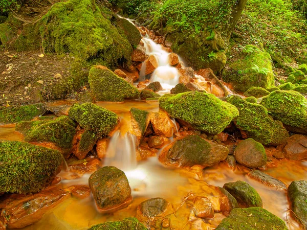 Flusso Sucha Kamenice Iriver Nel Parco Nazionale Svizzera Boema Repubblica — Foto Stock