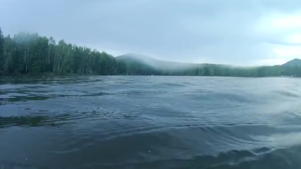 Первый Взгляд Руки Человека Плавающего Пруду Природный Курорт Посреди Лесов — стоковое видео