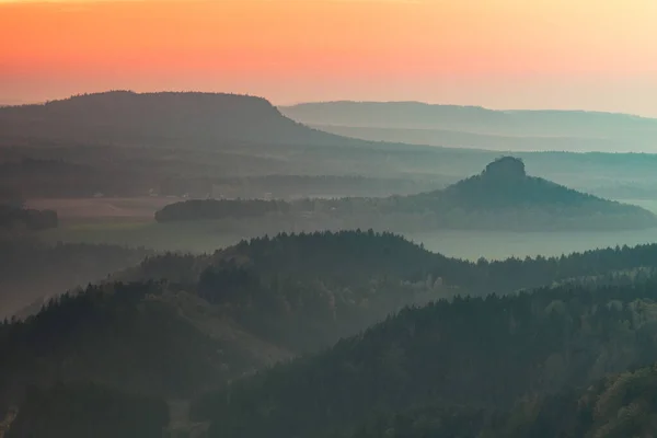 Mattinata Nebbiosa Pigra Foresta Paludosa Durante Alba Autunnale Svizzera Sassone — Foto Stock