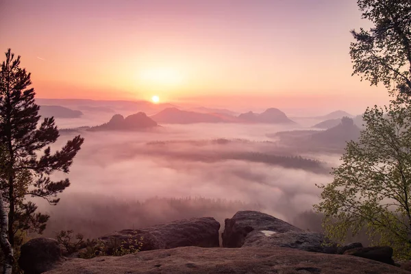 Autumn Sunrise Saxon Switzerland Fantastic Colorful Sunrise Top Rocky Mountain — Stock Photo, Image