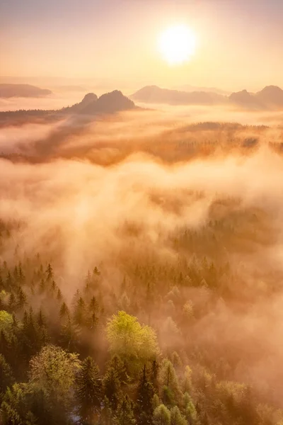 Colorido Bosque Brumoso Otoño Mañana Brumosa Parque Nacional Suiza Sajona — Foto de Stock