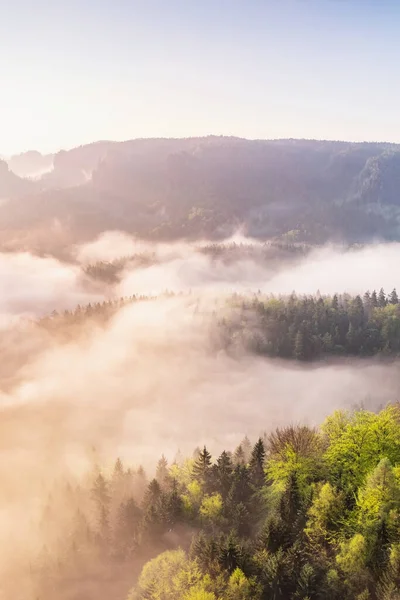 Dešťové Bouři Pozadí Horských Alpských Svazích Zvedá Krásná Jemná Mlha — Stock fotografie