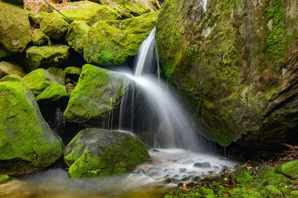 Natuur Regenwoud Rivier Waterval Stroom Bosnatuur Groene Bosstroom Natuur Stromen — Stockfoto