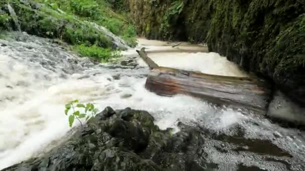 Aumento Del Nivel Del Agua Salpica Tronco Bloquea Corriente Cascada — Vídeos de Stock