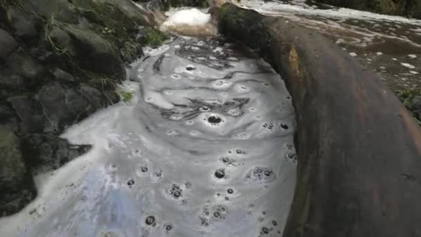 Špinavá Pěna Bubliny Divoké Říční Vodě Zlomený Strom Zablokovaný Rychlém — Stock video