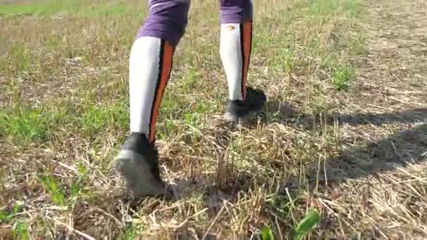 Pernas Mulher Elegante Tênis Correndo Chão Exercício Livre Treinamento Regular — Vídeo de Stock