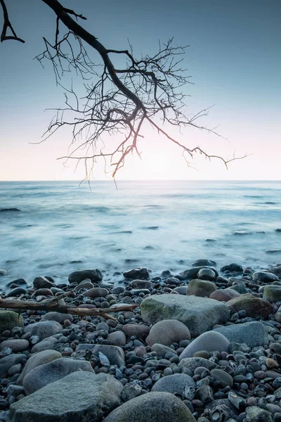 Vista Costa Pedregosa Con Tronco Caído Árbol Playa Pedregosa Atardecer — Foto de Stock