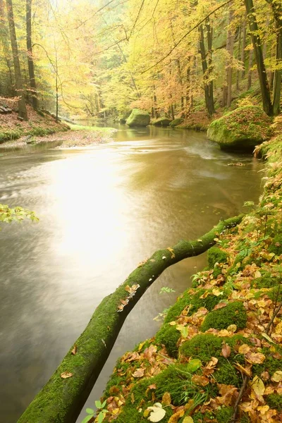 Řeka Podzimního Slunečného Dne Nádherná Barevná Krajina Les Podzimních Barvách — Stock fotografie