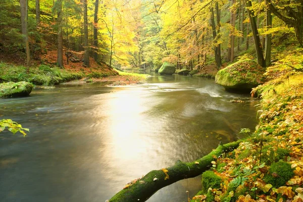 豊かなカラフルな渓流が秋のカラフルな森の中で岩を駆け抜ける — ストック写真