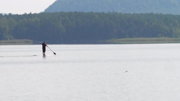 マチョヴォ湖の夕日の中でパドルボードに浮かぶ男 スタンドアップパドルボード 素晴らしい天気と平和的な水位で人気のスポーツ — ストック動画