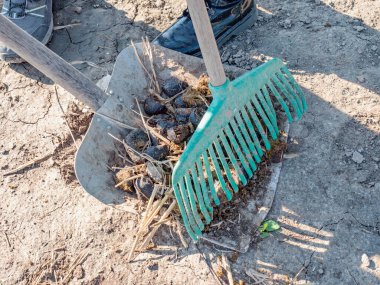 At çiftliği çocukları tramvayı dolduruyor. Biyo-kol malzemeleri at donutları yüklüyor. El arabası..