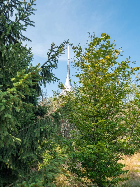 Scherzhafter Turm Zwischen Bäumen Jestedter Berggipfel Mit Hotel Jested Und — Stockfoto