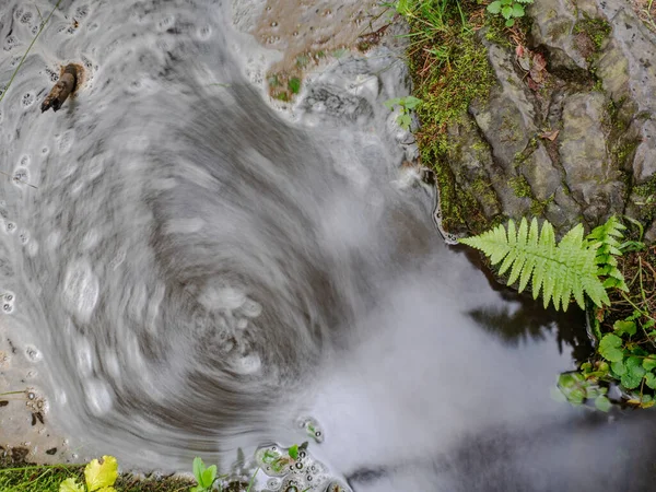 Bubbles Stream Basalt Rocks Fern Leaves Grow Small Cracks Smell — Stock Photo, Image